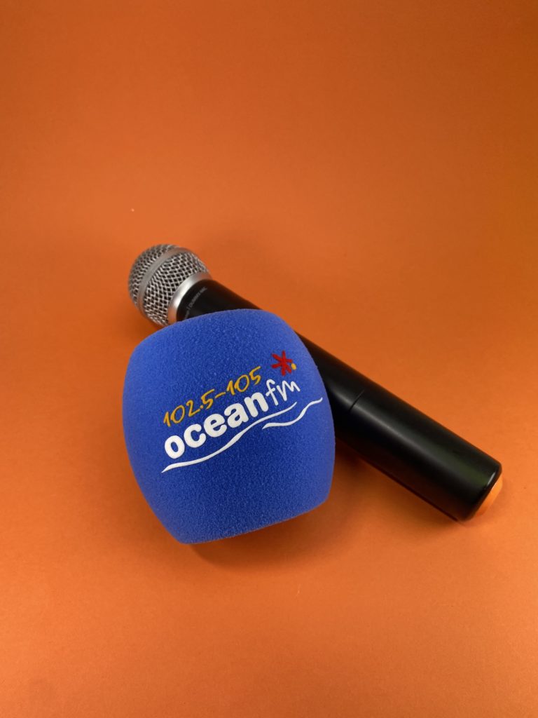 c1100